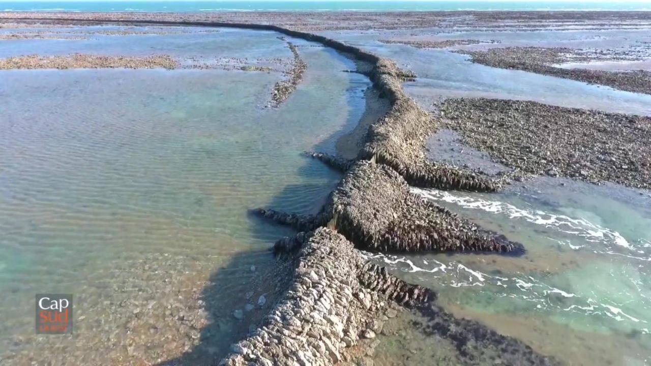Les Pieds Dans L'Eau Acces Direct A La Plage La Cotinière Eksteriør billede