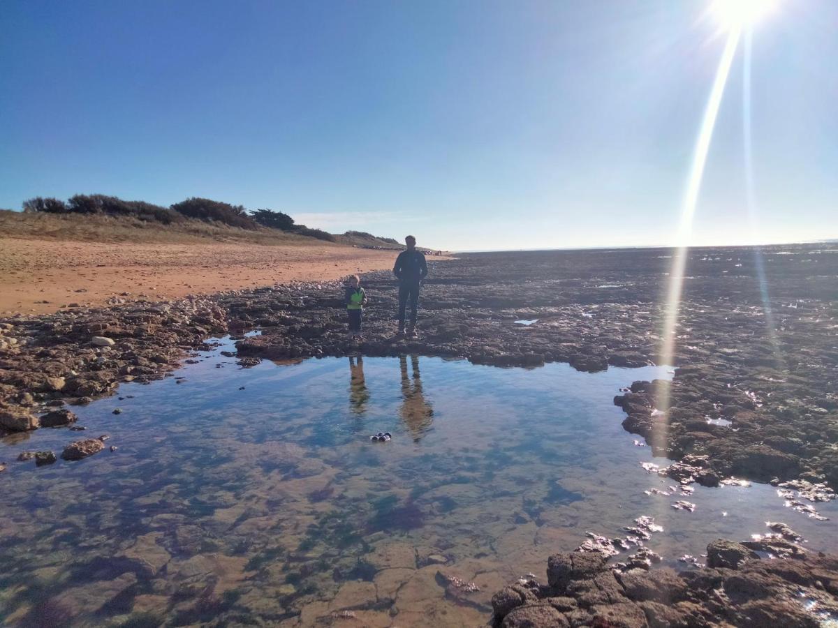 Les Pieds Dans L'Eau Acces Direct A La Plage La Cotinière Eksteriør billede