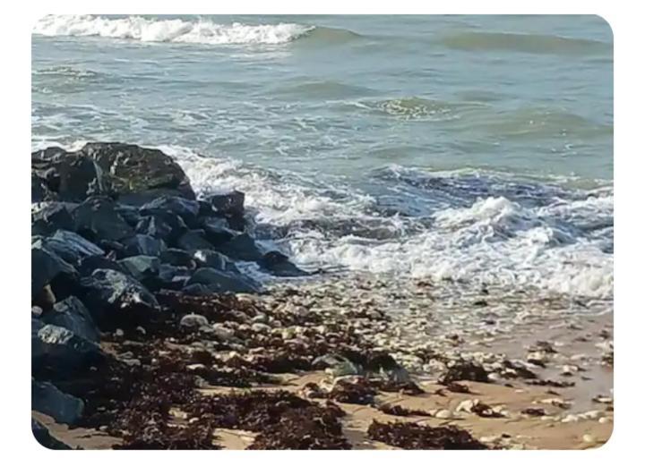 Les Pieds Dans L'Eau Acces Direct A La Plage La Cotinière Eksteriør billede